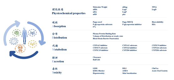 知丘-【药化技术平台】候选化合物成药性评价——ADME/T性质预测介绍 | No.01